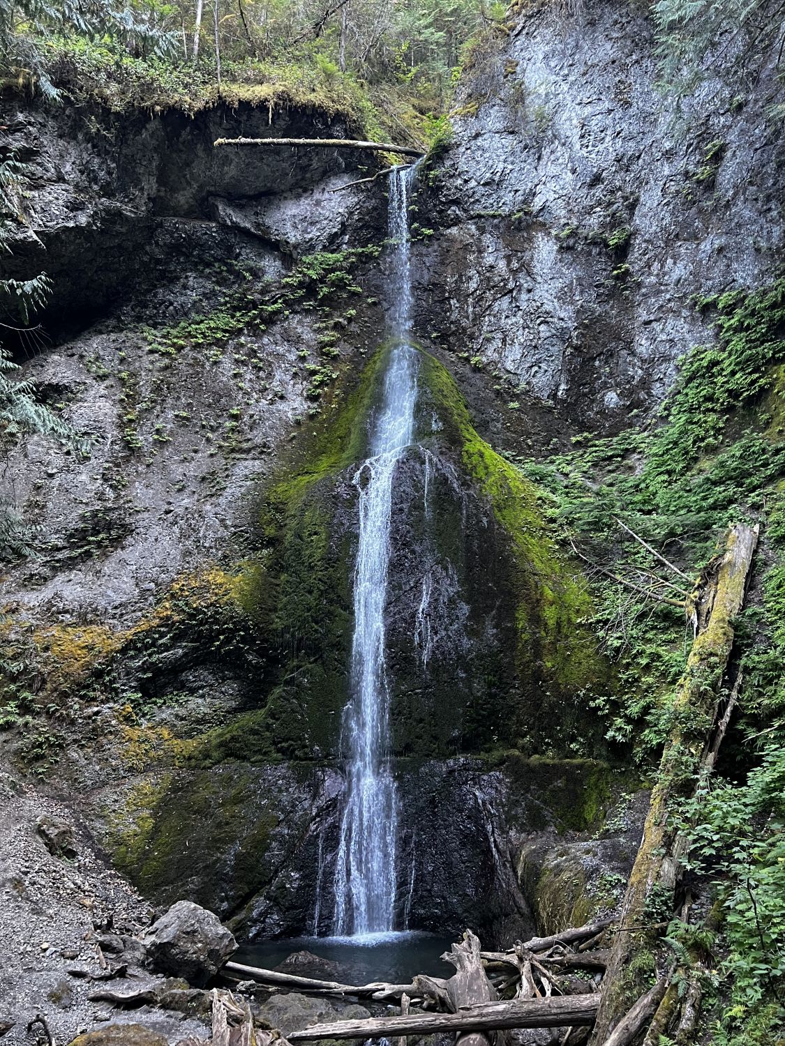 Olympic NP 